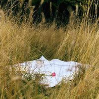 White blanket and pink flower in tall grass